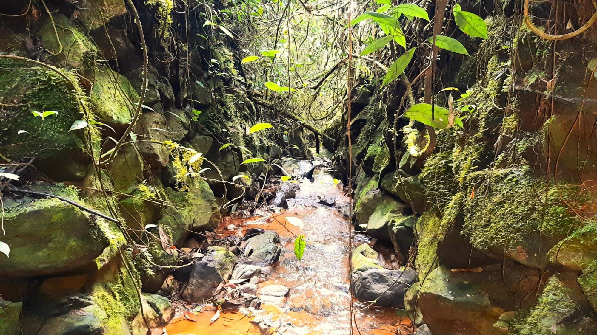 Encanto Minicasitas En Medio De La Naturaleza Santa Elena  Eksteriør billede