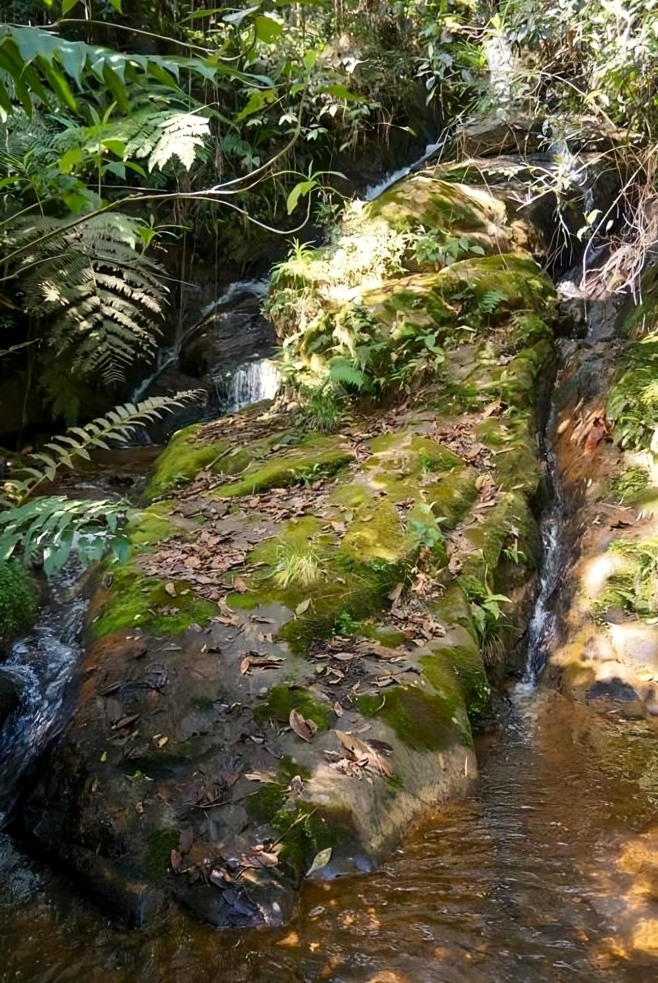 Encanto Minicasitas En Medio De La Naturaleza Santa Elena  Eksteriør billede