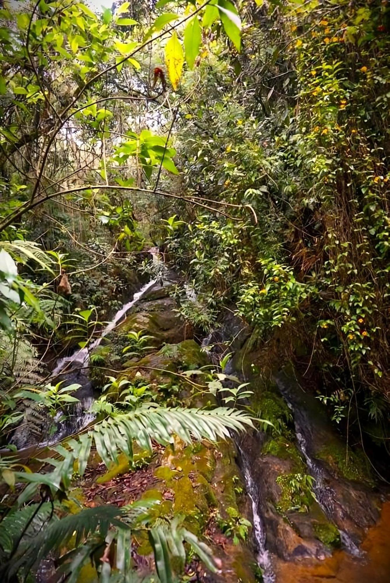 Encanto Minicasitas En Medio De La Naturaleza Santa Elena  Eksteriør billede