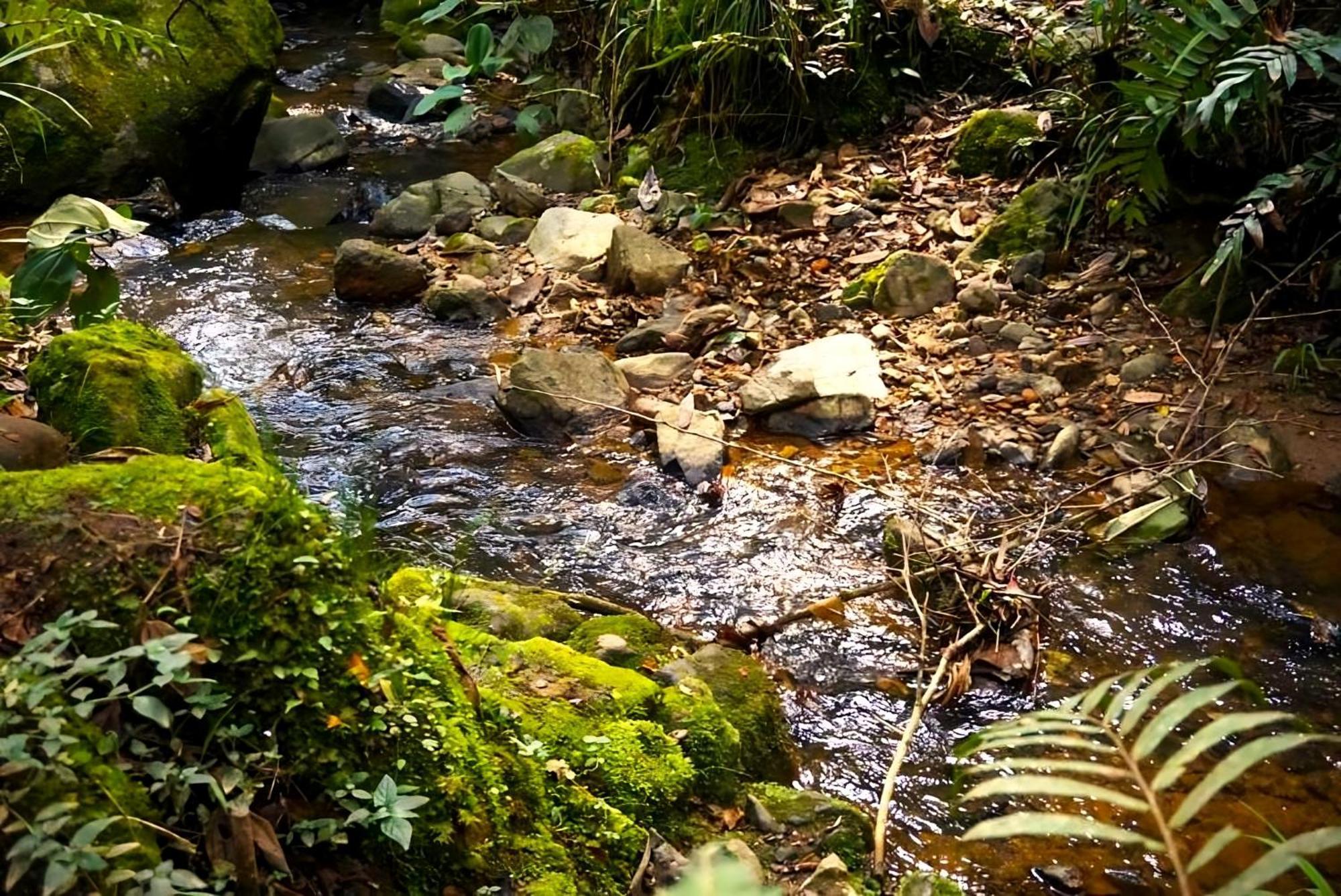 Encanto Minicasitas En Medio De La Naturaleza Santa Elena  Eksteriør billede