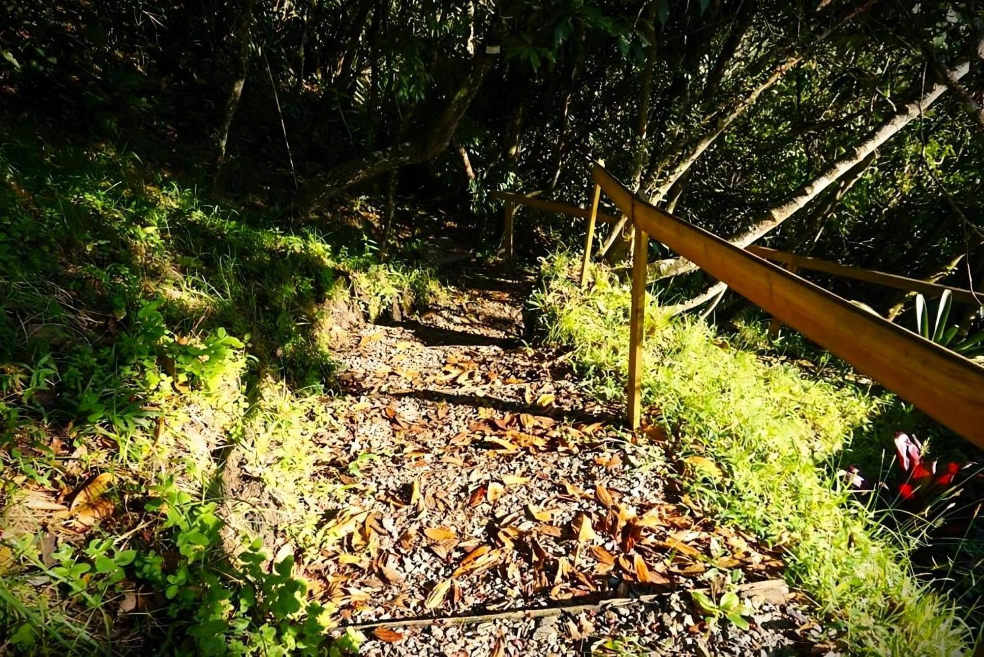 Encanto Minicasitas En Medio De La Naturaleza Santa Elena  Eksteriør billede